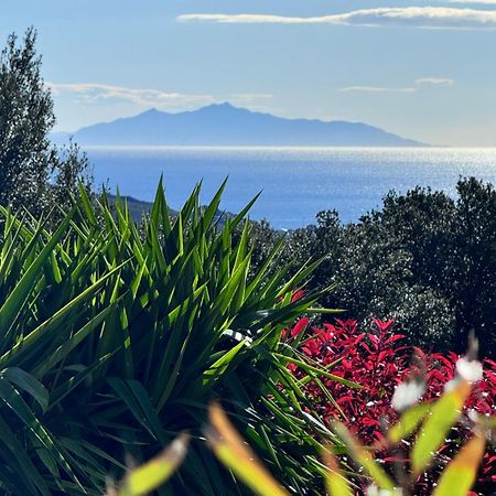 Sisco Gite Independant Dans Villa Entre Mer Et Maquis מראה חיצוני תמונה